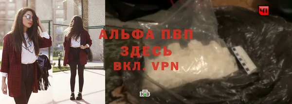 стафф Алексин