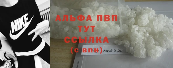 стафф Алексин