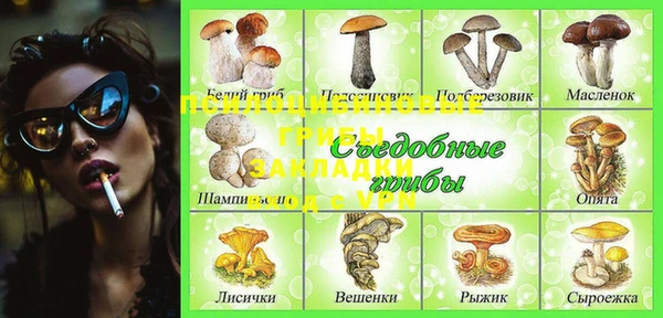 дмт Алексеевка