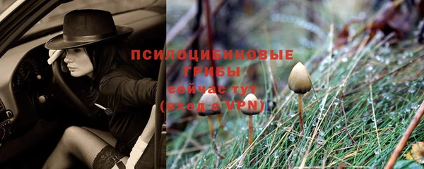 дмт Алексеевка