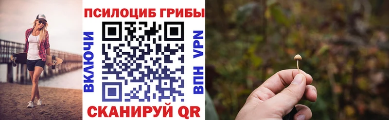 Псилоцибиновые грибы мицелий Кореновск